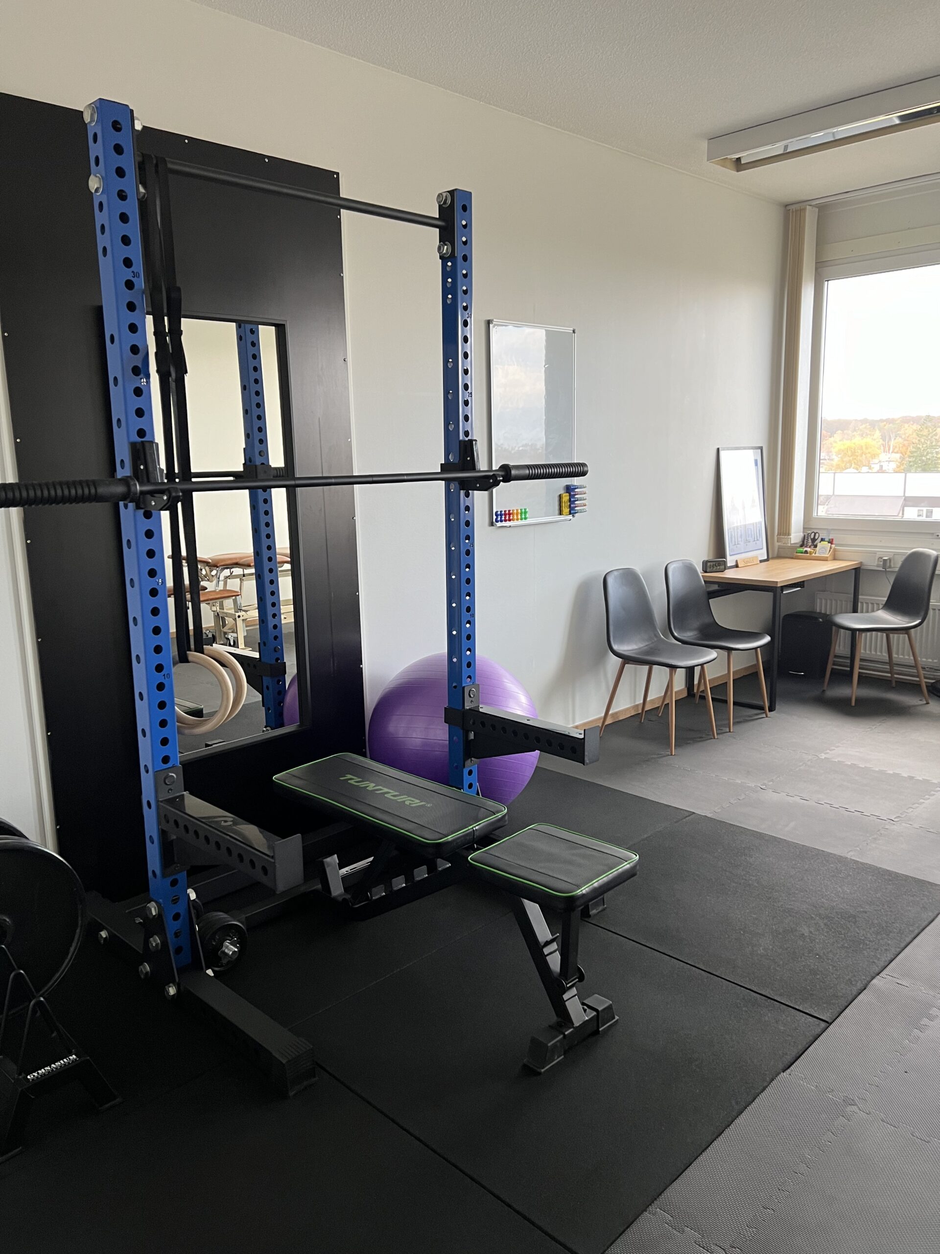 Gymnasium1